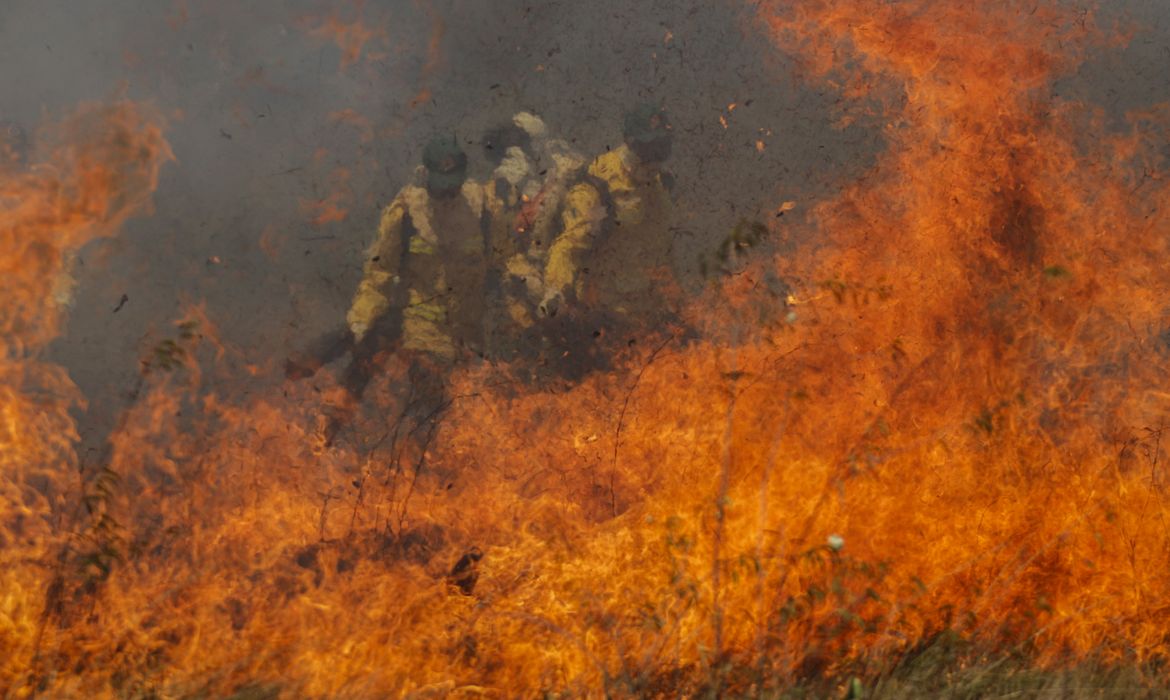 Cavalcante (GO) 15/09/2023 – A brigada de incêndio da Prevfogo composta com membros da comunidade quilombola Kalunga, durante simulação de combate ao fogo no cerrado no Engenho II
Foto: Joédson Alves/Agência Brasil