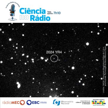 Asteroide 2024 YR4 vai impactar a Terra? Astrônoma explica riscos e  possíveis soluções