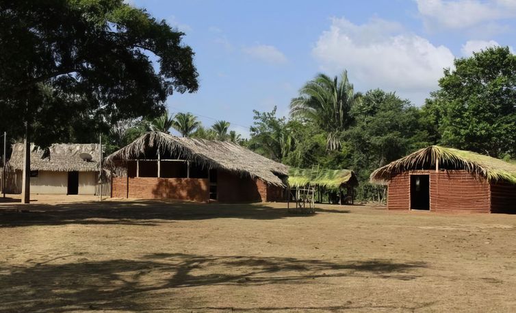 Quilombola territories stand out as least deforested areas in Brazil - Vimarsana News