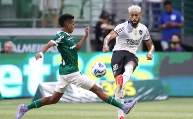 Botafogo x Palmeiras - Mundial de Clubes - 28_06_2025
