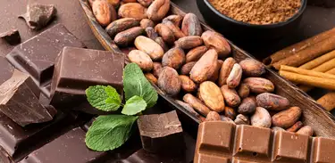Chocolate e sementes de cacau