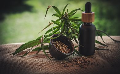 23/06/2023 - óleo de canabis, canabidiol, cbd, thc. Foto: CBD-Infos-com/ Pixabay