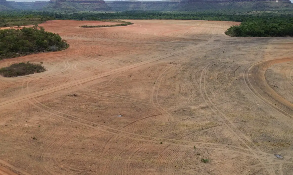 Balsas (MA),  22/12/2025 - Retrospectiva 2025 - Foto feita em 09/10/2025 -Lavoura de cultivo de soja avança sobre a vegetação do cerrado na região do Vão do Uruçuí, nos Gerais de Balsas. Foto: Fernando Frazão/Agência Brasil