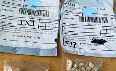 Em meados deste ano, cidadãos dos EUA também receberam pacotes da Ásia com sementes não solicitadas