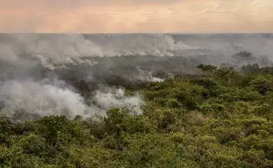 Corumbá (MS), 28/06/2024 - Focos de incêndio nos arredores de Corumbá-MS. Foto: Marcelo Camargo/Agência Brasil