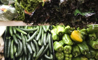 Hortaliças, legumes e verduras
