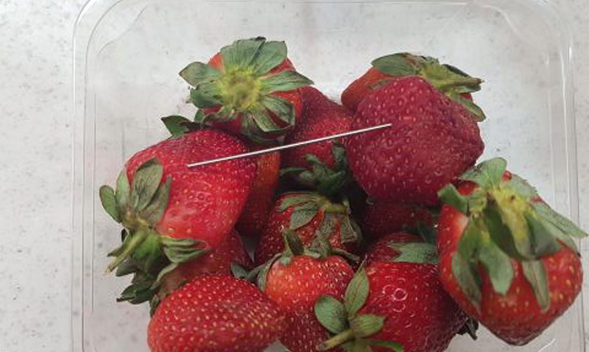 Supplied undated handout image obtained September 14, 2018 of a thin piece of metal seen among a punnet of strawberries in Gladstone. AAP/Queensland Police/Handout via REUTERS  ATTENTION EDITORS - THIS IMAGE WAS PROVIDED BY A THIRD PARTY. NO