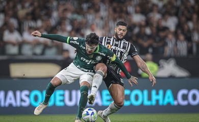 palmeiras, atlético-mg, brasileiro