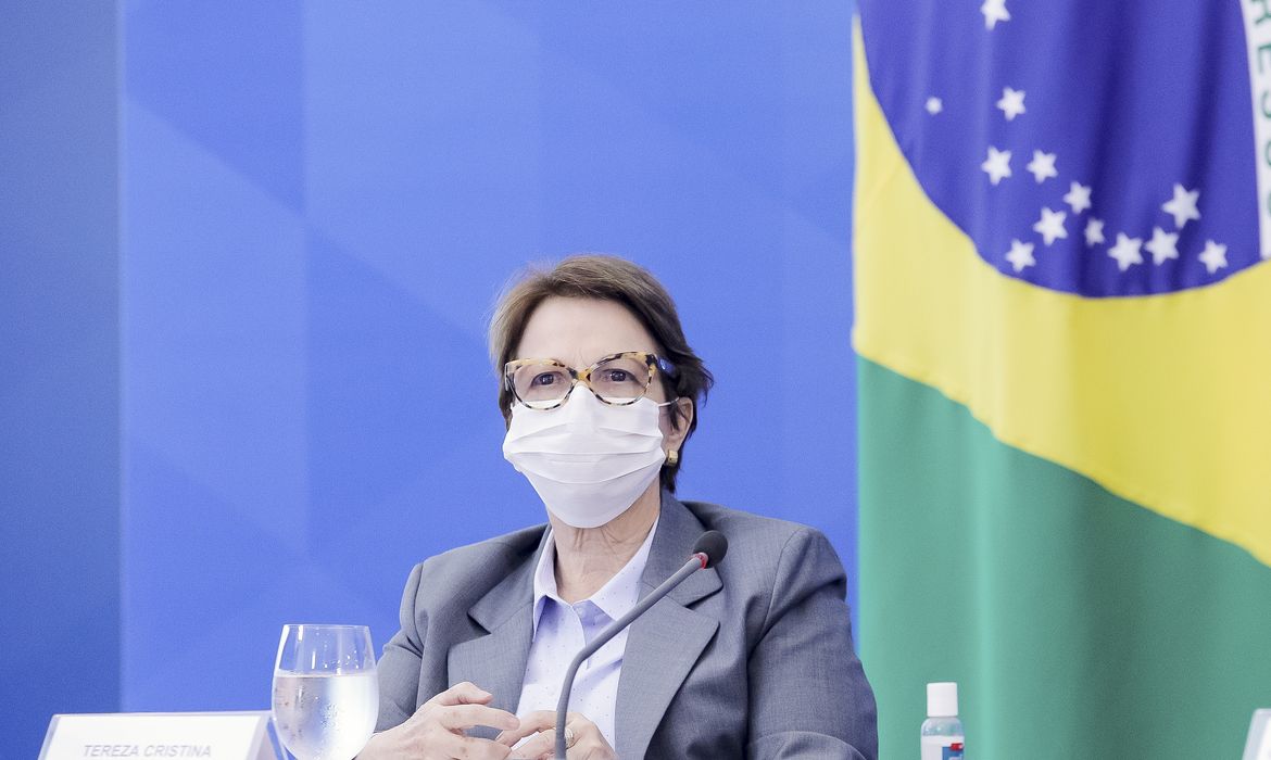 A ministra da Agricultura, Tereza Cristina, durante coletiva de imprensa.