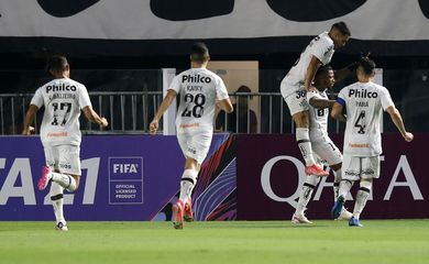 Santos, The Strongest, Libertadores