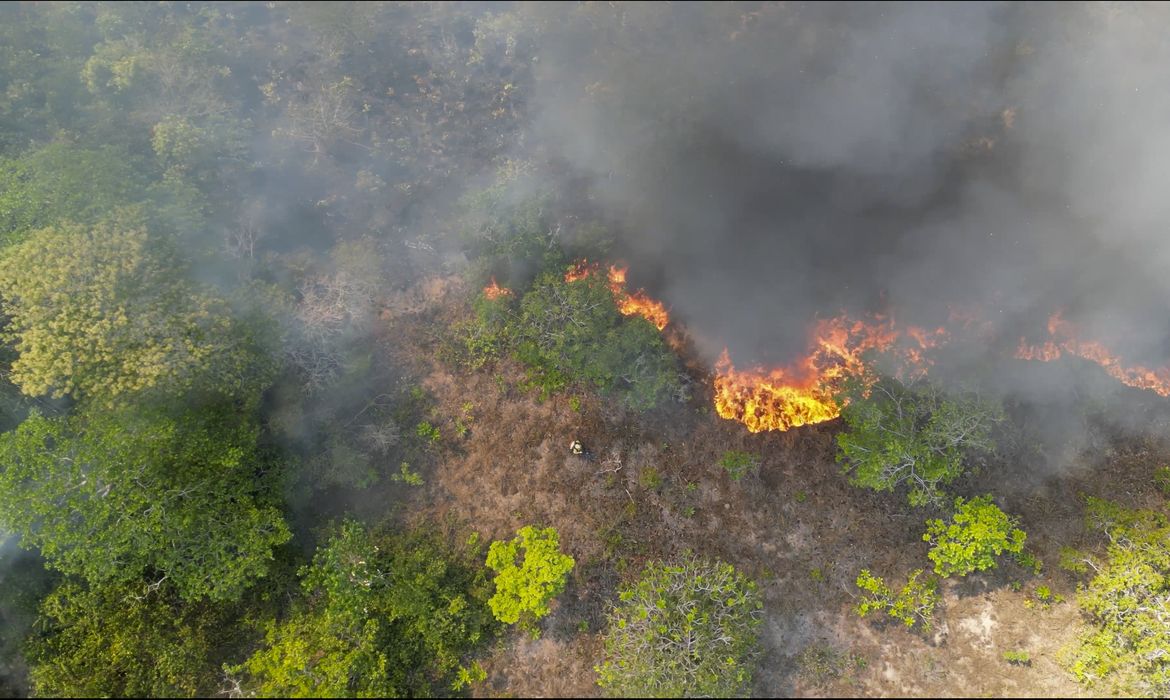 Arco da Restaurao no AM vai receber projetos de reparao ecolgica