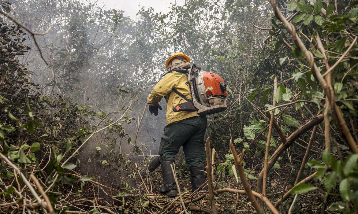 Pantanal: 96% de los incendios están extinguidos o controlados