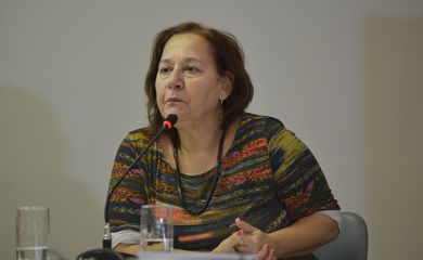 A antropologa do Cimi, Lúcia Rangel, participa do Lançamento do relatório Violência Contra os Povos Indígenas no Brasil em 2013(Elza Fiúza/Agência Brasil)