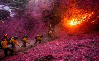 Firefighters work to clear a firebreak as the Palisades Fire, one of several simultaneous blazes that have ripped across Los Angeles County, burns in Mandeville Canyon, a neighborhood of Los Angeles, California, U.S., January 12, 2025. REUTERS/Ringo Chiu