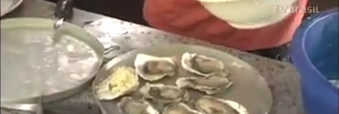 Projeto incentiva geração de renda com cultivo de ostras no Paraná