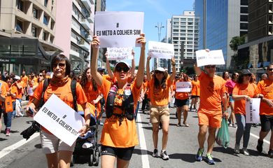  3ª Caminhada pelo fm da violência contra as mulheres em São Paulo
