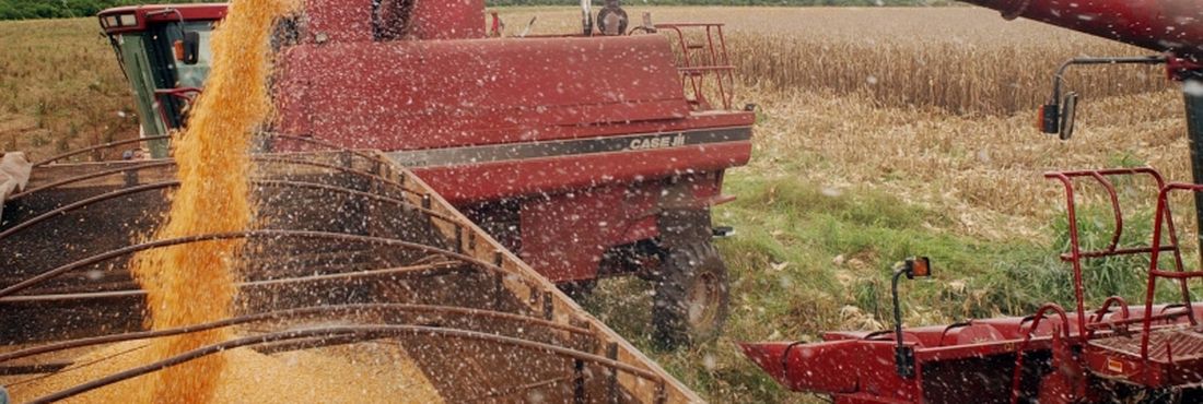 Safra de grãos será a maior da história do país, diz ministro