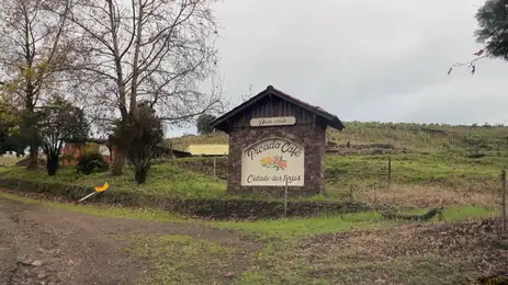 Município de Picada Café foi fundado por alemães e preserva as tradições e a cultura daquele povo