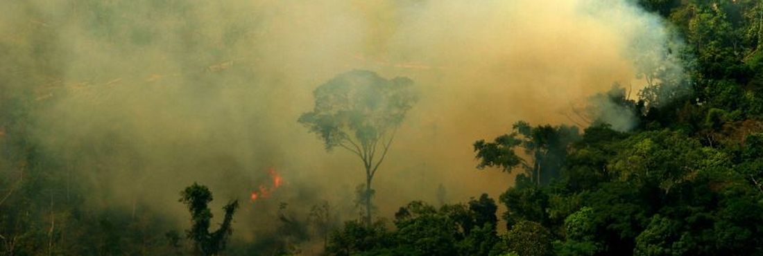 Queimada em Novo Progresso, no Pará, destrói um trecho da Floresta Amazônica
