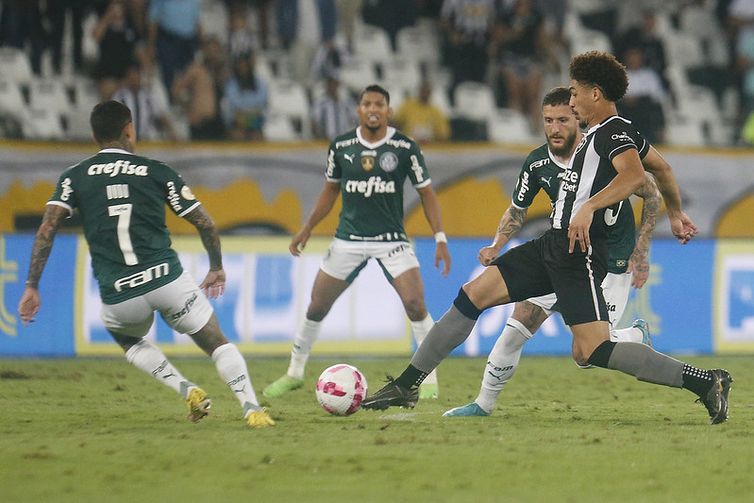 PALMEIRAS X BOTAFOGO TRANSMISSÃO AO VIVO DIRETO DO ALLIANZ PARQUE -  CAMPEONATO BRASILEIRO 2023 