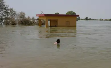 Inundação em Sehwan