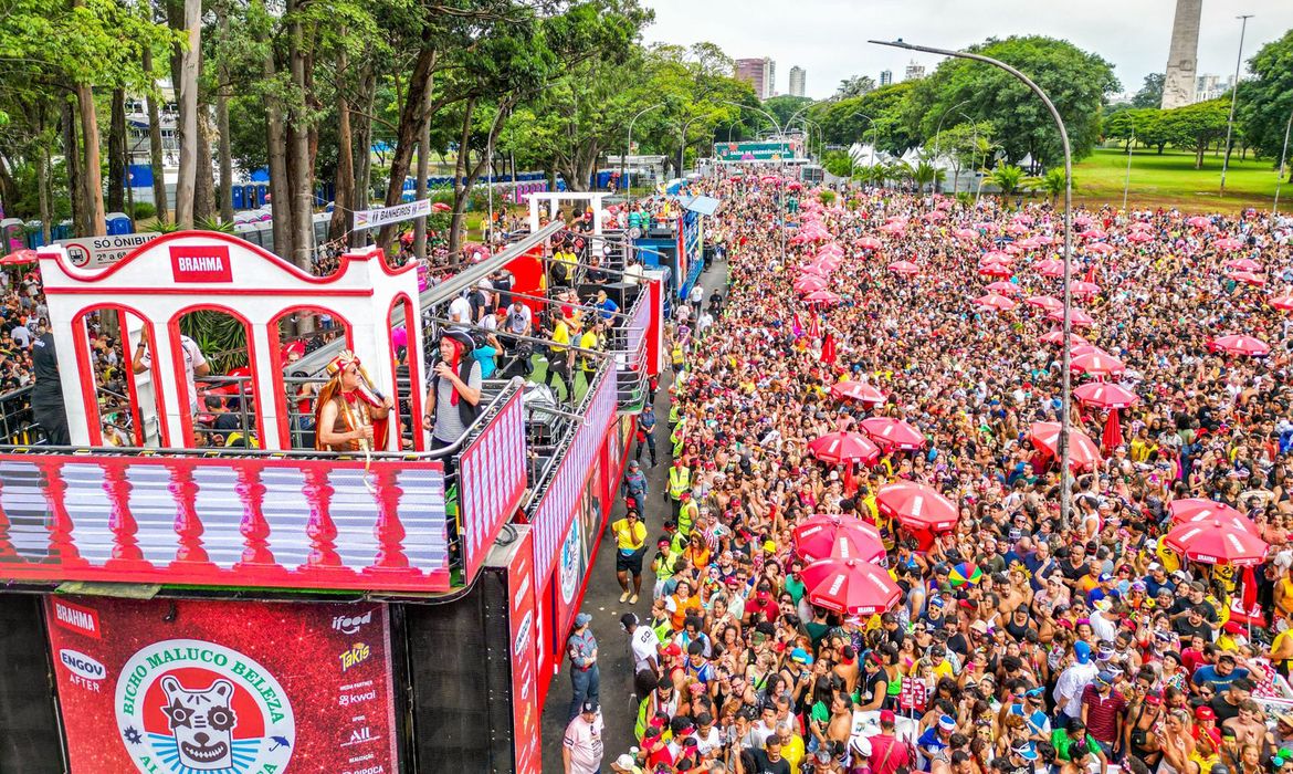 Carnaval 2025 em São Paulo terá mais de 600 blocos | Agência Brasil