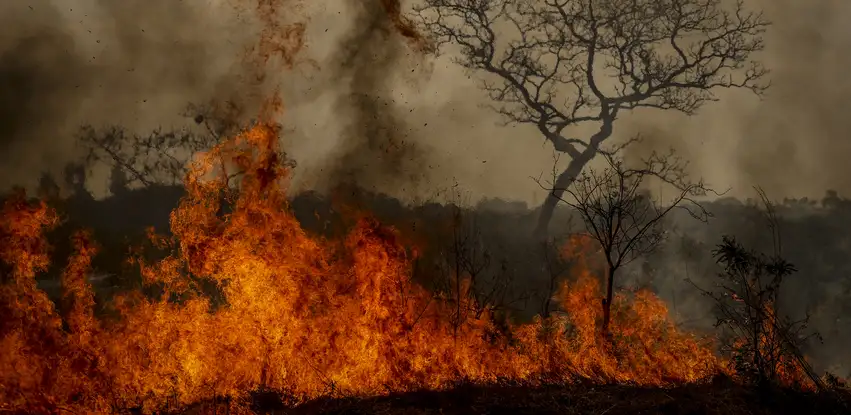 Incêndio em área de cerrado próxima ao aeroporto de Brasília