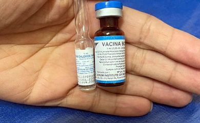 Vacina BCG contra a Tuberculose. Ampolas da Vacina BCG. Foto: SEMSA/Manaus