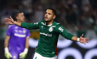 palmeiras, fluminense, brasileiro