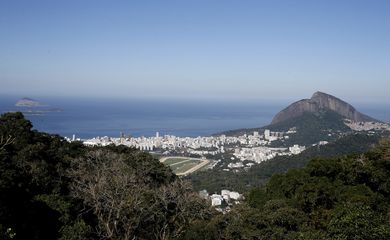 Oito cutias são soltas no Parque Nacional da Tijuca. A espécie foi escolhida por ser nativa e uma importante dispersora de sementes. O animal chega a enterrar os grãos para consumir depois, favorecendo a restauração florestal.