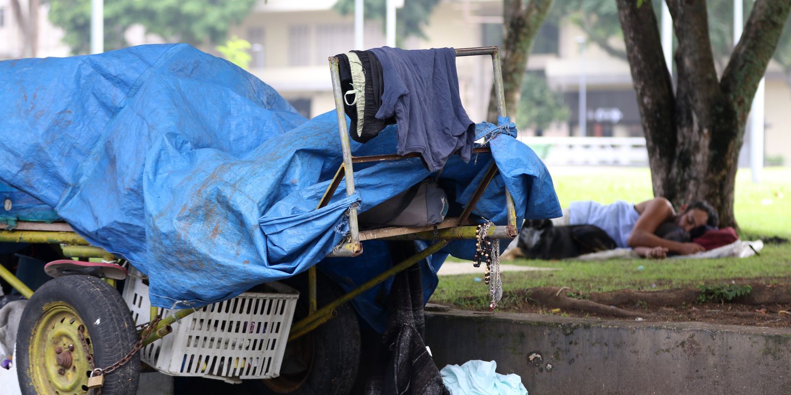 Violência física lidera violações contra pessoas em situação de rua