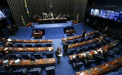 Brasília - Plenário do Senado em sessão para analisar MP 716/16, que destina R$ 420 milhões para combater microcefalia e Aedes aegypti  (Fabio Rodrigues Pozzebom/Agência Brasil)