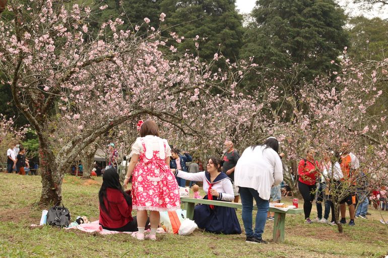 42ª Festa das Cerejeiras no Parque do Carmo, Zona Leste de São Paulo.
