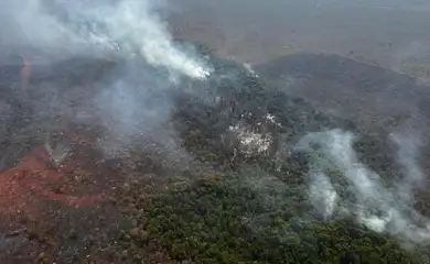 Brasília (DF), 19/09/2024 - Incêndio no Parque Nacional de Brasília. Foto: ICMBio/Divulgação