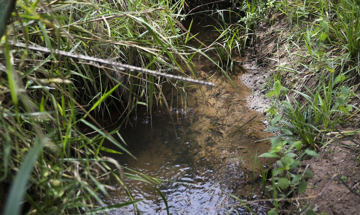 A ação tem sido empreendida pelo programa Produtor de Água para recuperar a Bacia Hidrográfica do Pipiripau, que já foi considerada uma das bacias mais problemáticas do Distrito Federal.