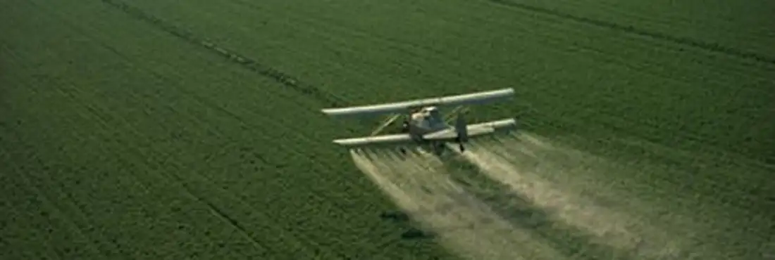 Pulverização aérea de agrotóxico Pulverização aérea de agrotóxico.