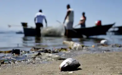 Rio de Janeiro - Mesmo poluída, Baía de Guanabara é fonte de renda para milhares de pescadores (Tânia Rêgo/Agência Brasil)