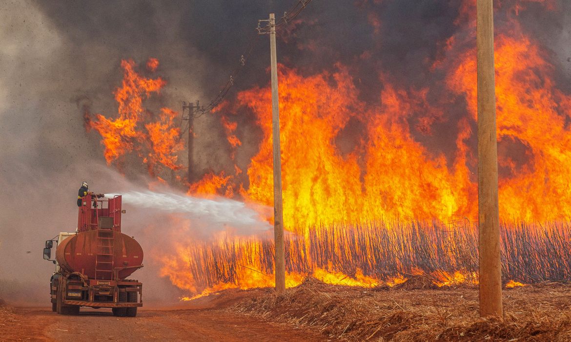 A fire fighter tries to put out fire in a sugar cane plantation near Dumon city, Brazil, August 24, 2024. REUTERS/Joel Silva     TPX IMAGES OF THE DAY