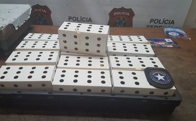 São Paulo - Canários belgas foram encontradas presas em pequenas caixas dentro de uma mochila (Divulgação/Polícia Federal)