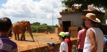 Visitantes no Jardim Zoológico de Brasília
