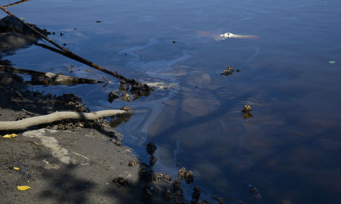 Derramamento de óleo pela Petrobras na Baía de Guanabara no último sábado (8) atinge o Parque Natural Municipal Barão de Mauá, em Magé (RJ). 