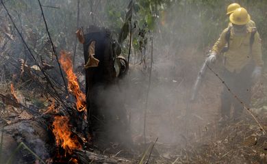 Firefighters extinguish a fire in Amazon jungle in Porto Velho, Brazil August 25, 2019. REUTERS/Ricardo Moraes