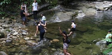 Trilha na Mata Atlântica