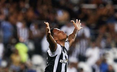 botafogo, volta redonda, campeonato carioca