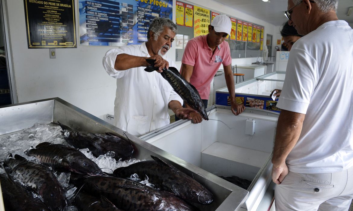 Brasília -  A tradição de comer peixe na sexta-feira Santa leva consumidores aos mercados de peixe na capital. Na foto, a peixaria do Ceasa na capital (José Cruz/Agência Brasil)