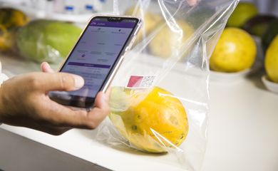 Pesquisadores da Embrapa desenvolvem sensor que avalia grau de maturação de frutas