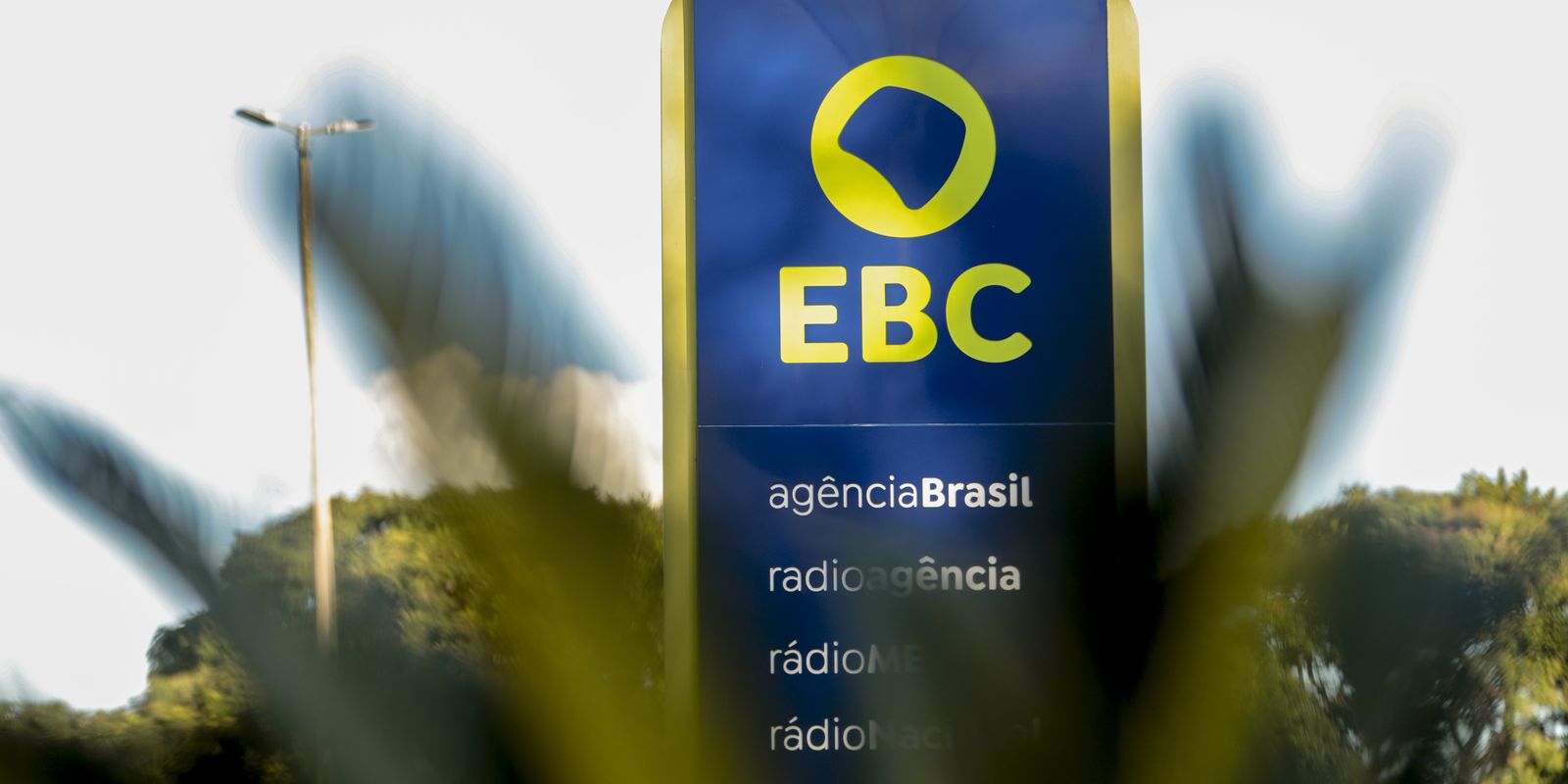Aniversário da Agência Brasil é lembrado no plenário da Câmara Aniversário da Agência Brasil é lembrado no plenário da Câmara