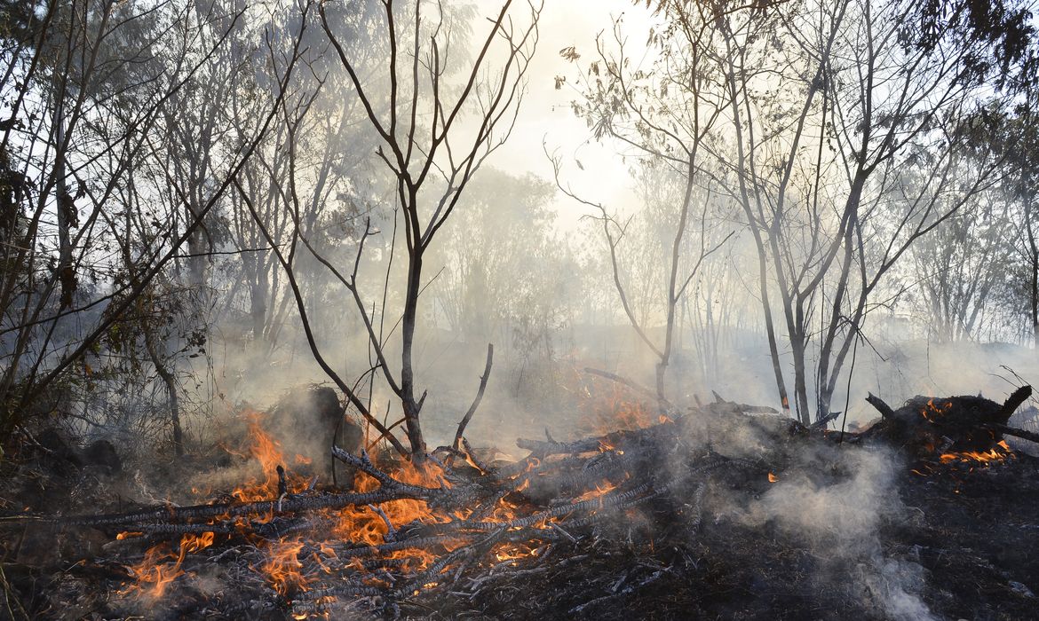 Queimadas em terras indígenas caiu 62% nos últimos 2 meses

Bombeiros tentam controlar incêndio em área de Cerrado na capital federal (Valter Campanato/Agência Brasil)
