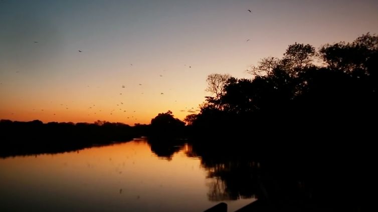 Ciência é Tudo - Pantanal
