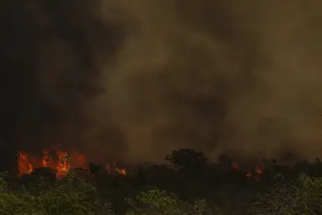 Brasília (DF), 16/09/2024 - Grandes focos de incêndio atingem áreas do Parque Nacional de Brasília. Foto: Marcelo Camargo/Agência Brasil